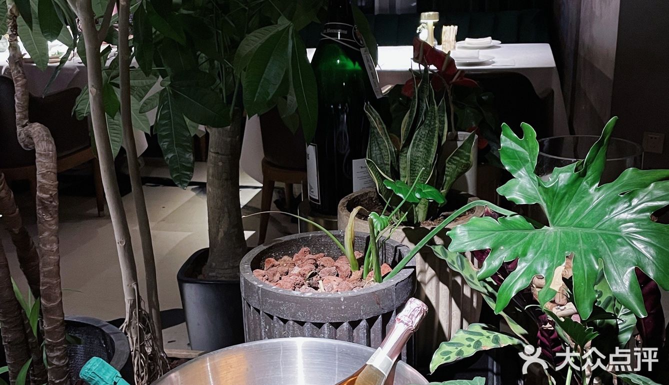 很有格调氛围的一家西餐厅，超适合约会