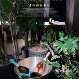 很有格调氛围的一家西餐厅，超适合约会