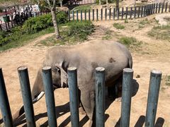 -济南野生动物世界