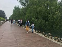 -宝安西湾红树林湿地公园