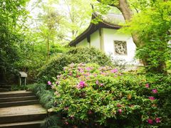 -虎跑公园