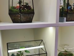 -陶语手工·拼豆·陶艺·银饰diy(宽厚里店)
