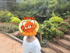 -青青世界