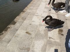 -江南大学(蠡湖校区)