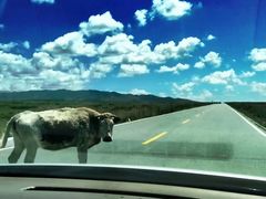 -青海湖国家重点风景名胜区