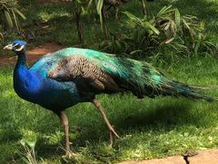 -昆明动物园