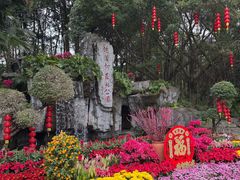 -广州市流溪河国家森林公园