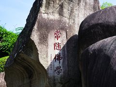 -南普陀寺