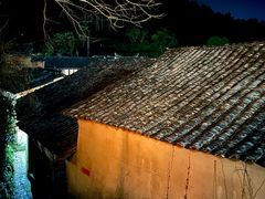 -杨家堂村