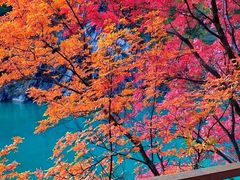 -叠溪松坪沟景区