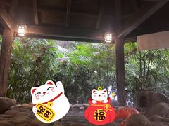 -融汇温泉