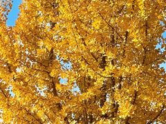 -狼山风景名胜区