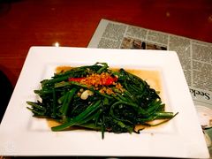 秘制虾酱炒空心菜-帕蓝·暹罗料理(曲阳店)