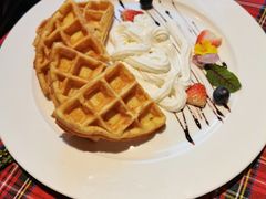 -百好乐宠物友好餐厅(朝外大街店)