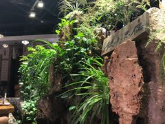 -宴桃园(门头沟店)