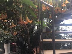 -双廊碎片·吾乡海景度假公馆