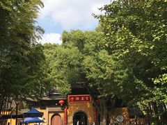 -宝岩生态观光园