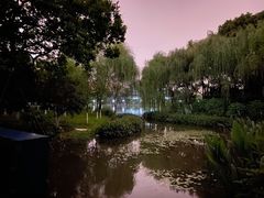 -杭州城北体育公园