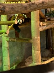 -Zoolung Zoolung动物主题公园(海信广场店)