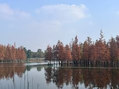 -白鹭湾湿地公园