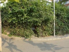 -斯多格书乡(北京大学畅春园店)