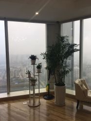 点击看大图 -久匠半永久纹眉