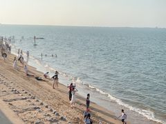 -西秀海滩公园