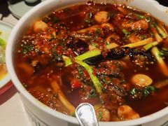 -院8里·小聚园老川菜(九眼桥店)