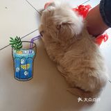 你要乖一点，我想你的一生都有我[爱心]