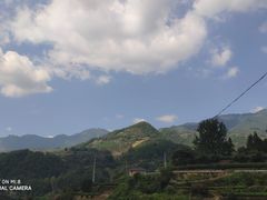 -杨家堂村