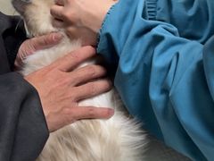 -动物缘宠物医院·骨科·猫科(西二环店)