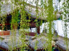 -陶然亭公园