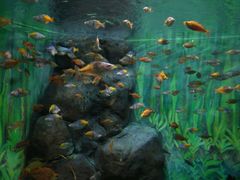 -上海海洋水族馆-停车场