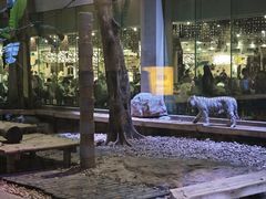 -麒麟中餐厅·经典粤菜·地道菜式老字号(广州长隆酒店)