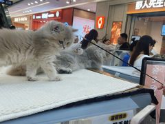 -万达广场(大明宫店)