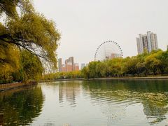 -沈阳南湖公园