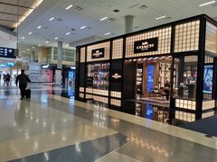 -达拉斯 沃斯堡国际机场