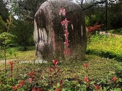 -黑河国家森林公园