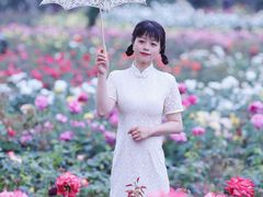-龙寺生态园