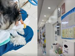 -美联众合动物医院·24h京西诊疗中心