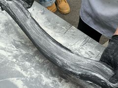 -李与白包子铺(桐梓林店)