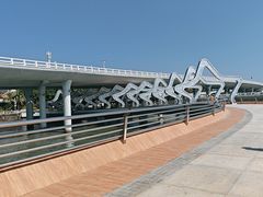 -演武大桥观景平台