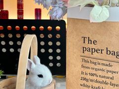 -大象厨房(重庆道店)