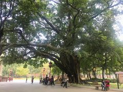 -广州中山纪念堂