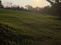 -南宁南湖公园