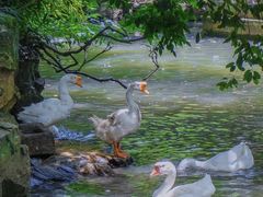 -绍兴书圣故里景区