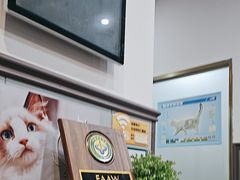 -伟伟宠物医院·瑞派猫友好医院·猫科(光谷店)