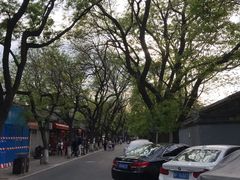 -北京国子监胡同