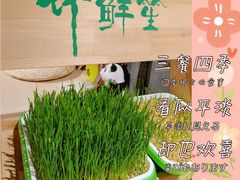 -竹鲜笙全竹宴(国色天香店)