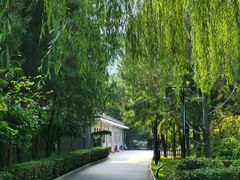 -黄村公园